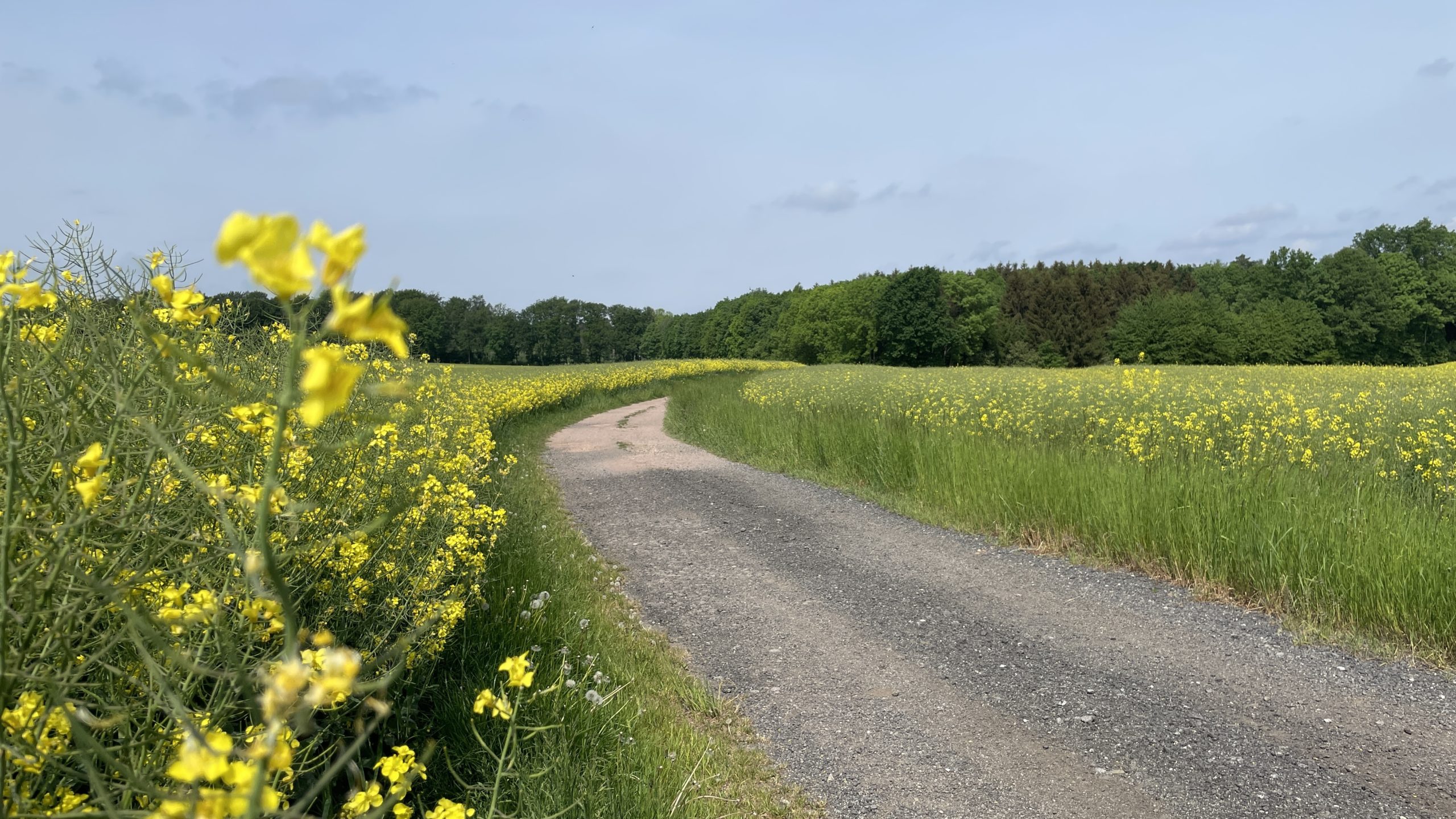 Tag 2 20.5.22 Görlitz – Weißenberg 20km