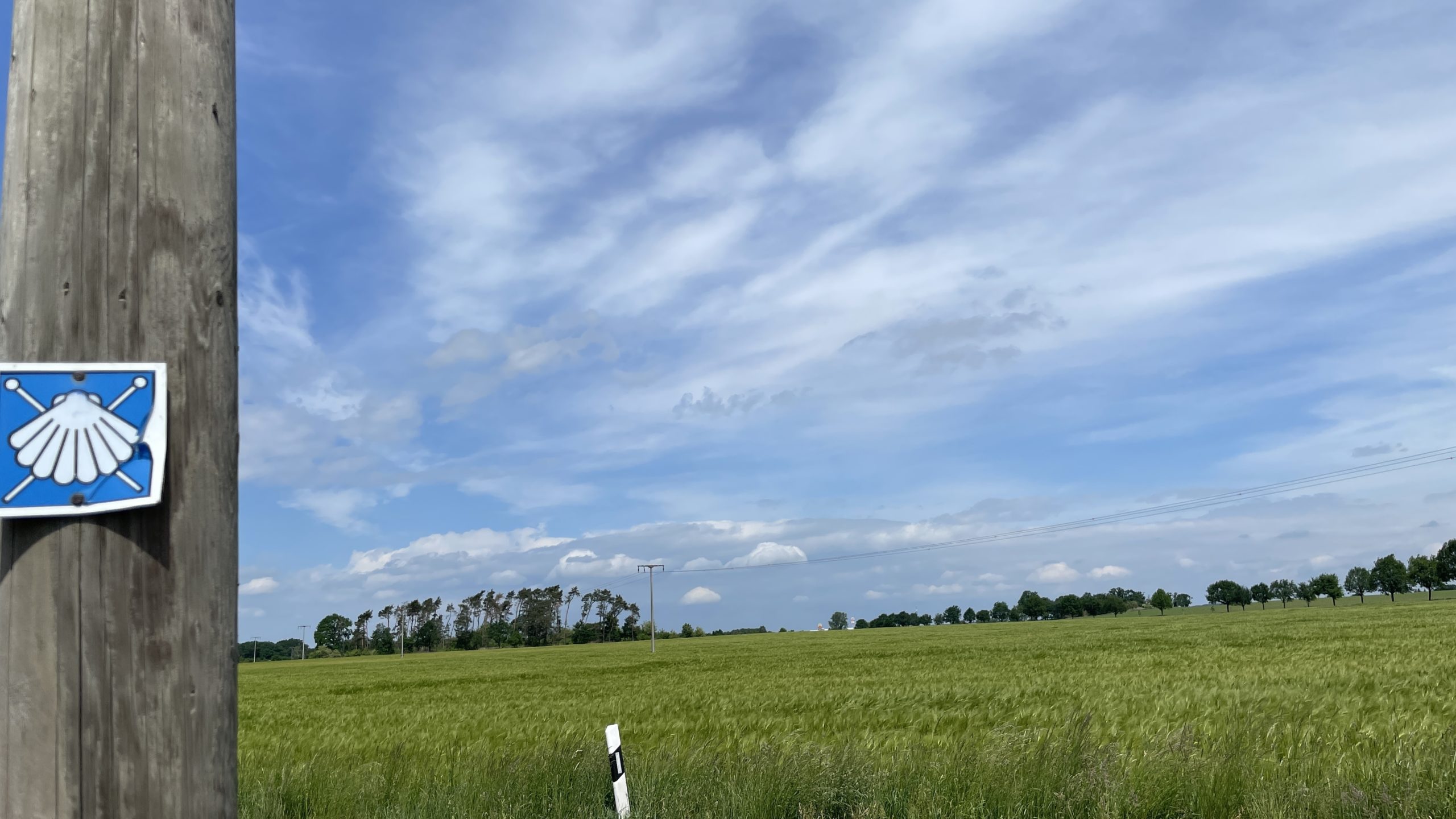 Tag 6 24.5.22 Königsbrück – Großenhain 31,8 oder 20km? Hinweisschilder und Straßenstrich!