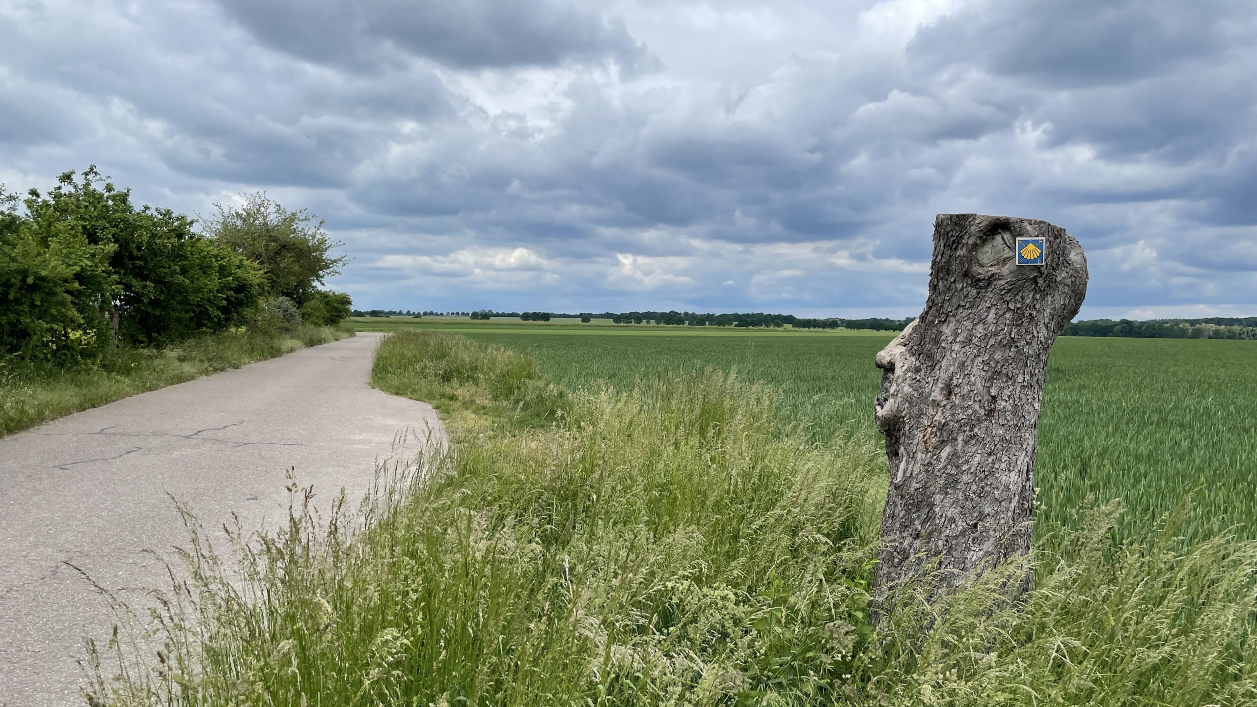 Tag 8 26.5.22 (Chr Himmelfahrt) Strehla – Dahlen 17,4km: Himmelfahrt oder Vatertag?
