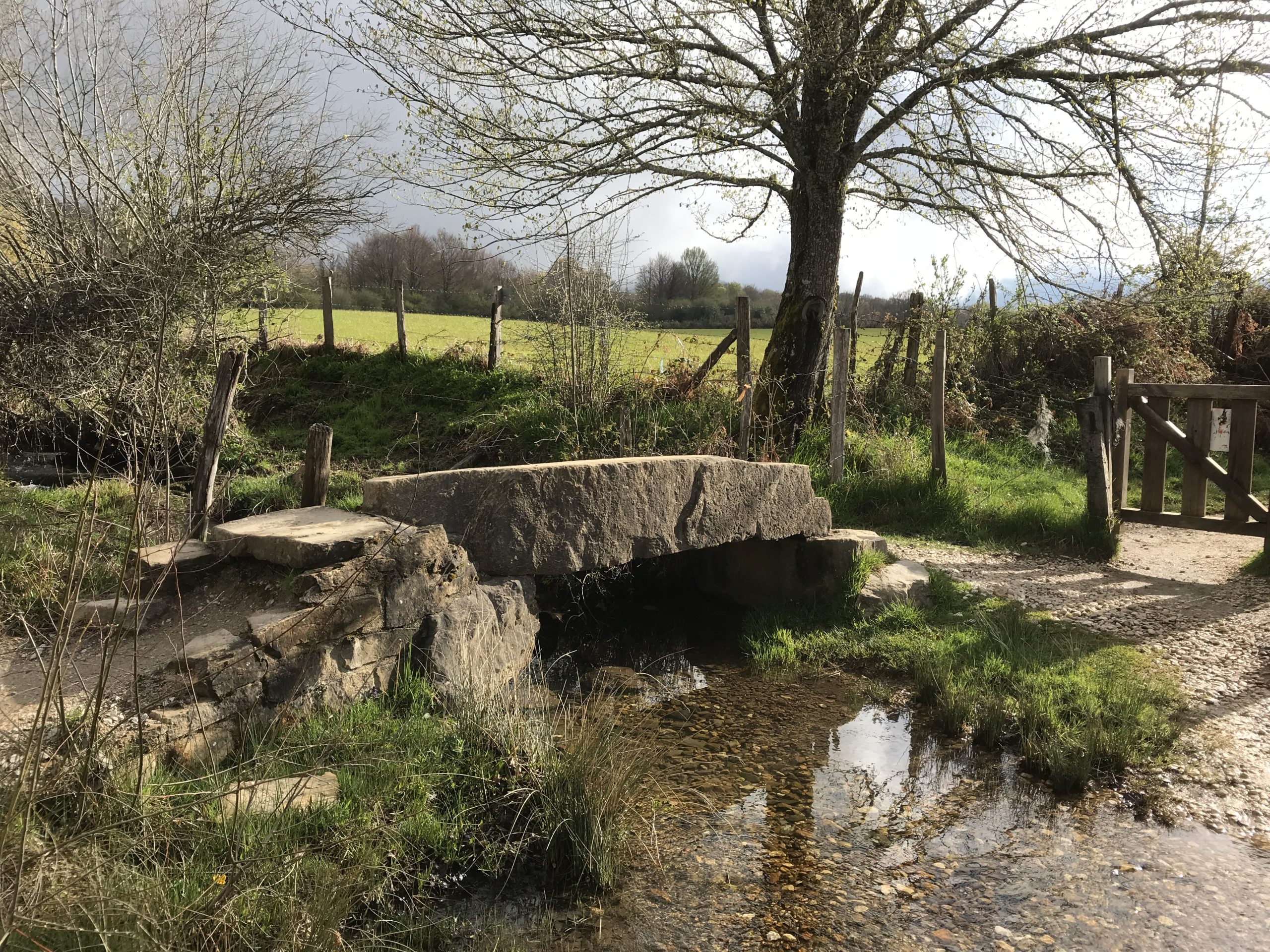 Tag 02   Roncesvalles – Bizkarreta-Gerendiain 12km