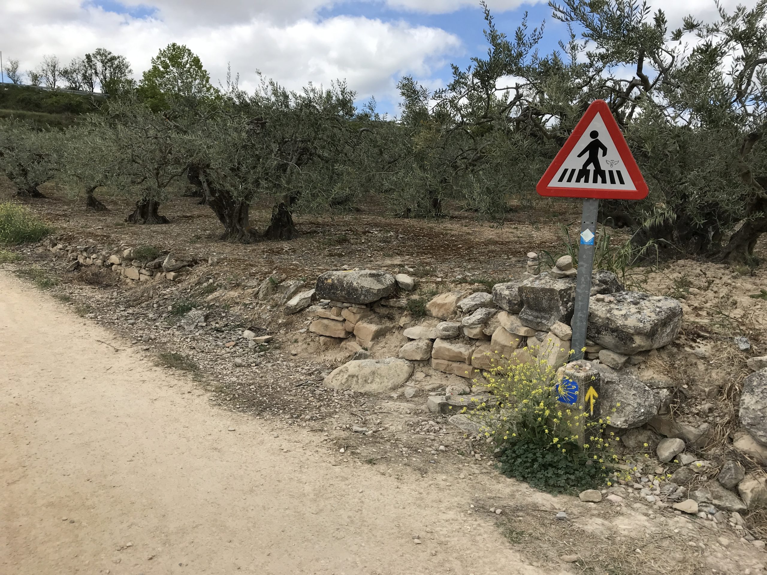 Tag 08   Cirauqui – Viana 32km