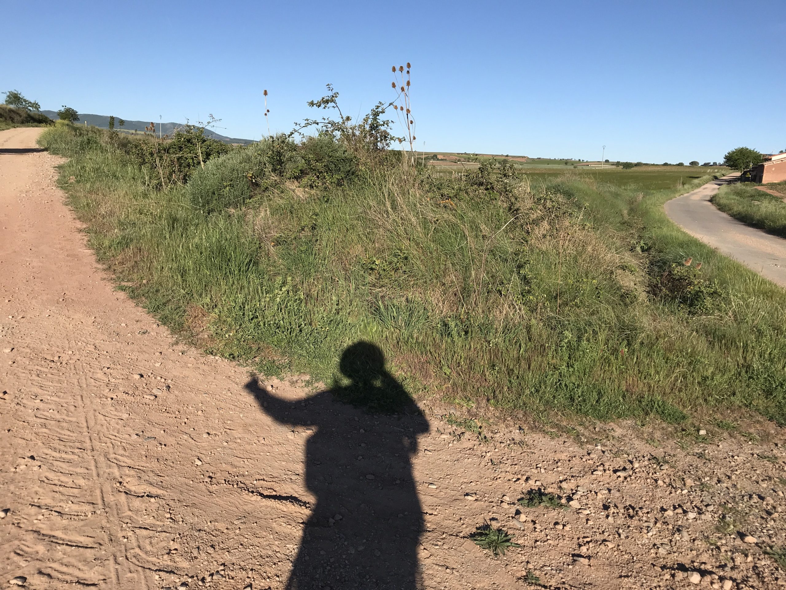 Tag 11 Azofra – Granon 22km