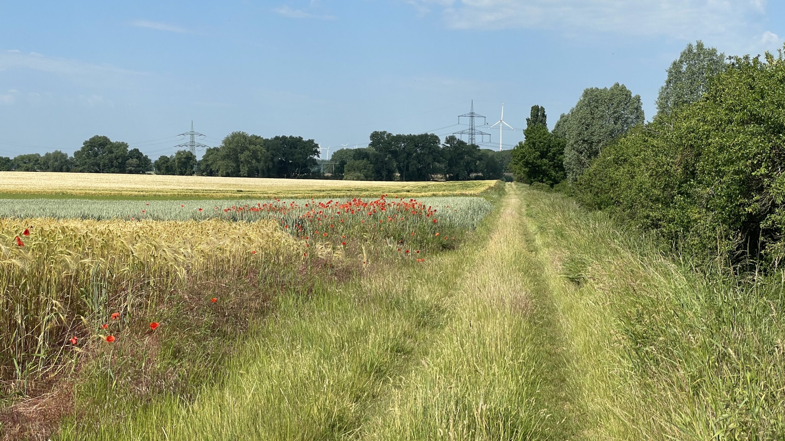 23-06 17.6 Stedten – Erfurt 24 km: wiese oder Weg?