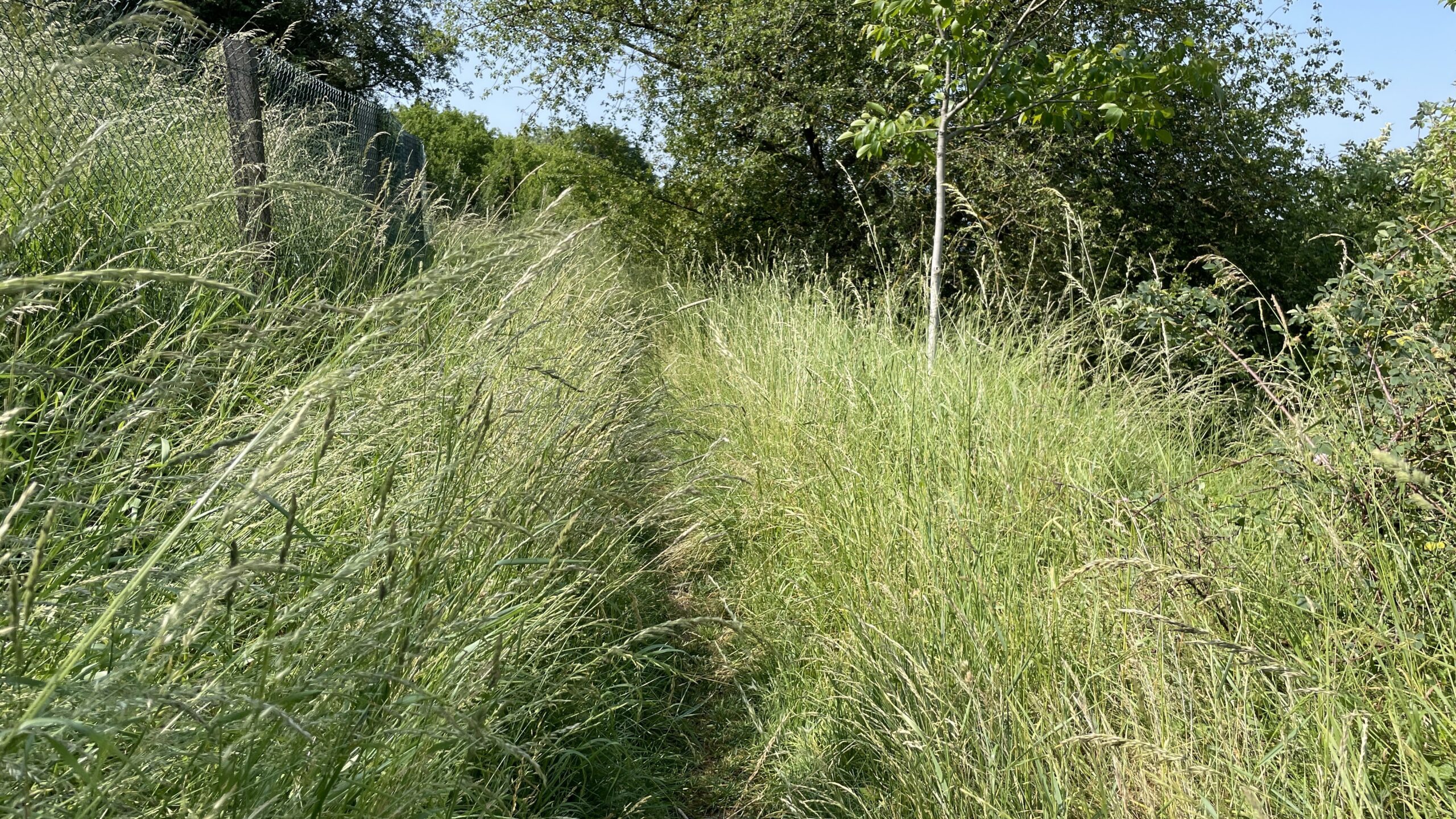 23-07 18.6 Erfurt – Gotha 26,4km: unter dem Schirm des Höchsten
