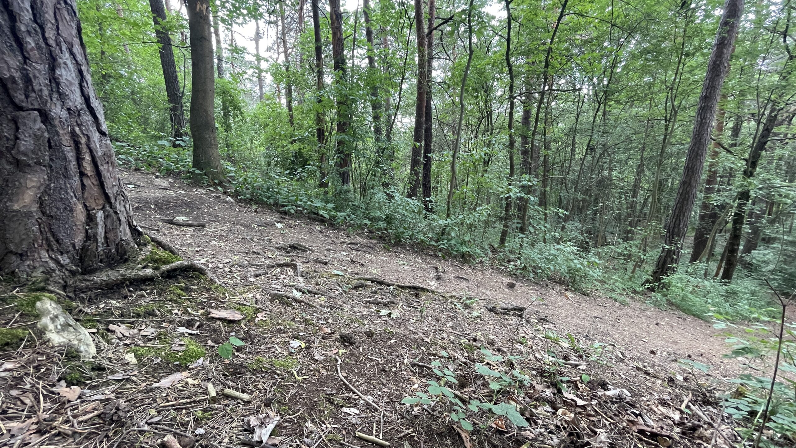 23-08 19.6 Mechterstädt (nach Gotha) – Eisenach 17 km