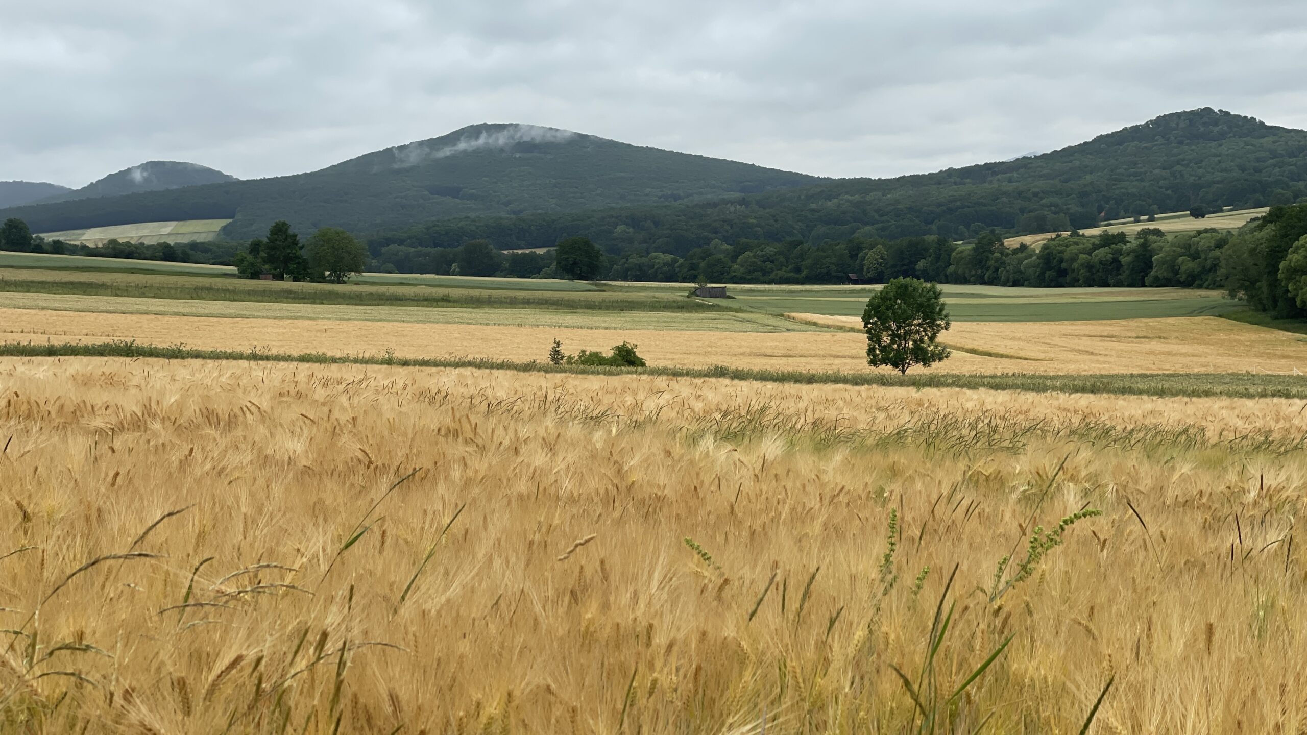 23-12 23.6 Rasdorf – Hünfeld 14km