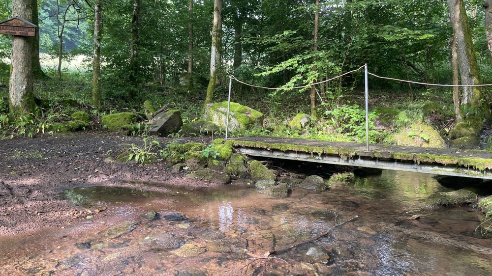 24#03 Do 27.6.24 Kreuzberg – Bad Kissingen 31km