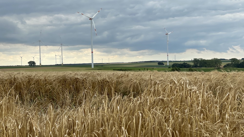 24#08 Di 2.7.24 Gaukönigshofen – Uffenheim 25,6 + 3km