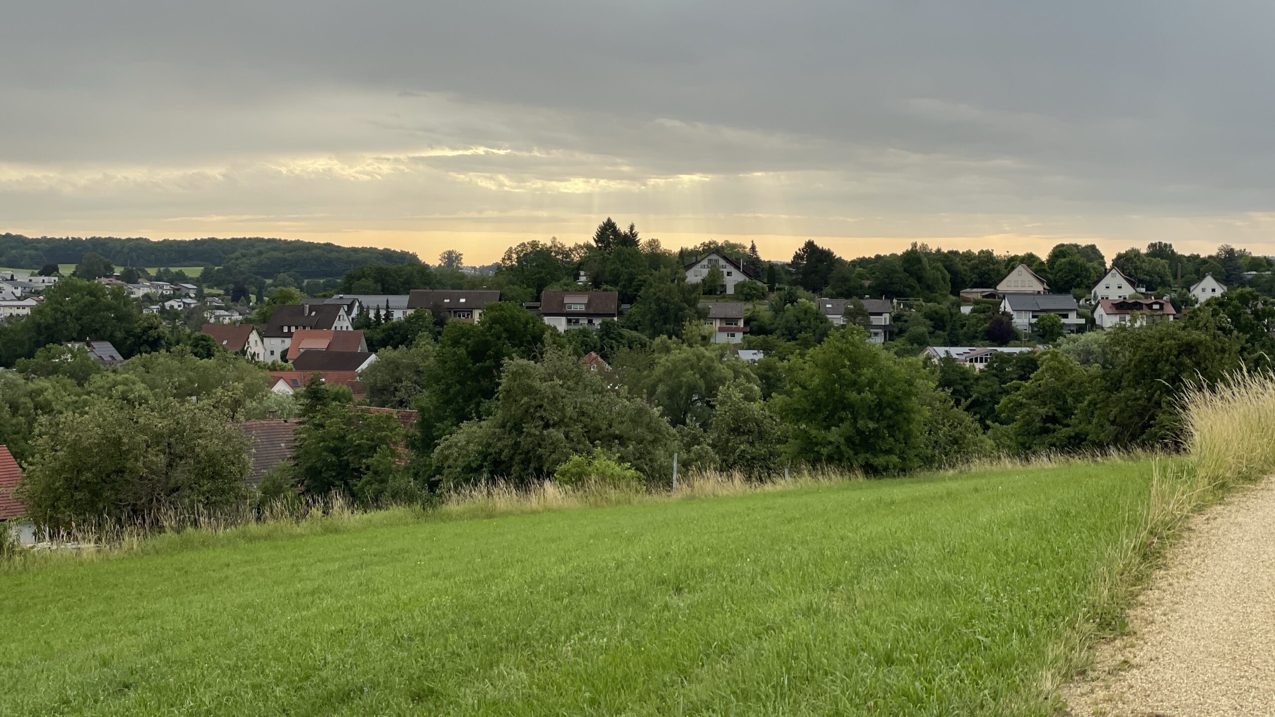 25#04 Do 26.6.25 Böbingen a.d.Rems – Gussenstadt 29,2km