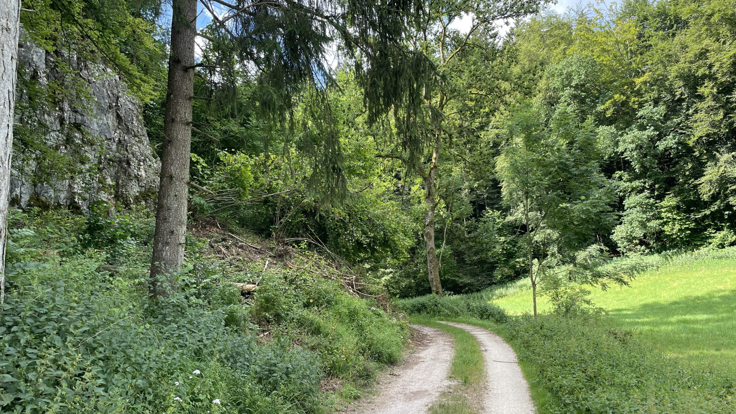 25#06 Sa 28.6.25 Temmenhausen – Ulm 19,9km