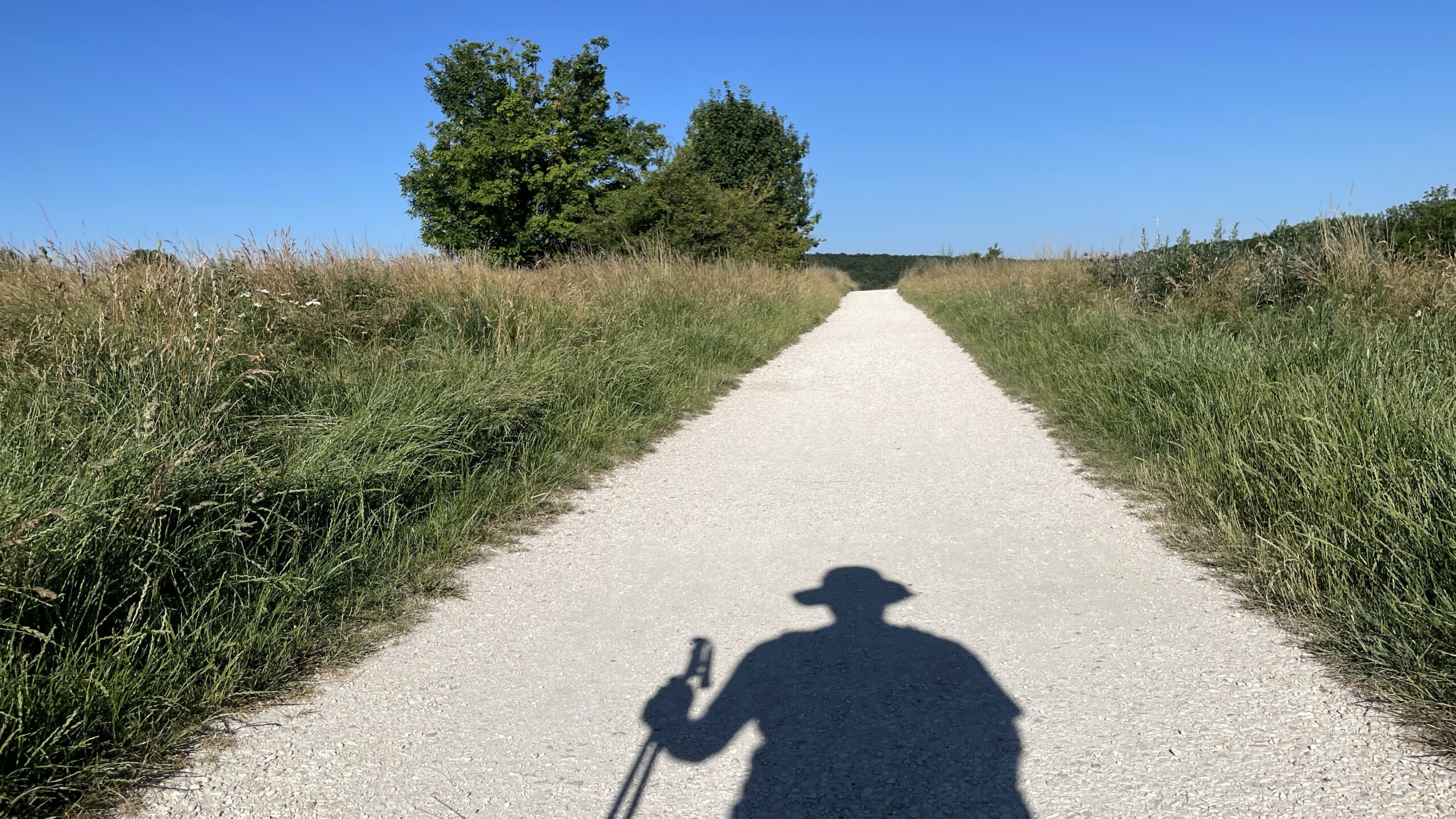 25#07 So 29.6.25 Ulm – Oberdischingen 20,7km