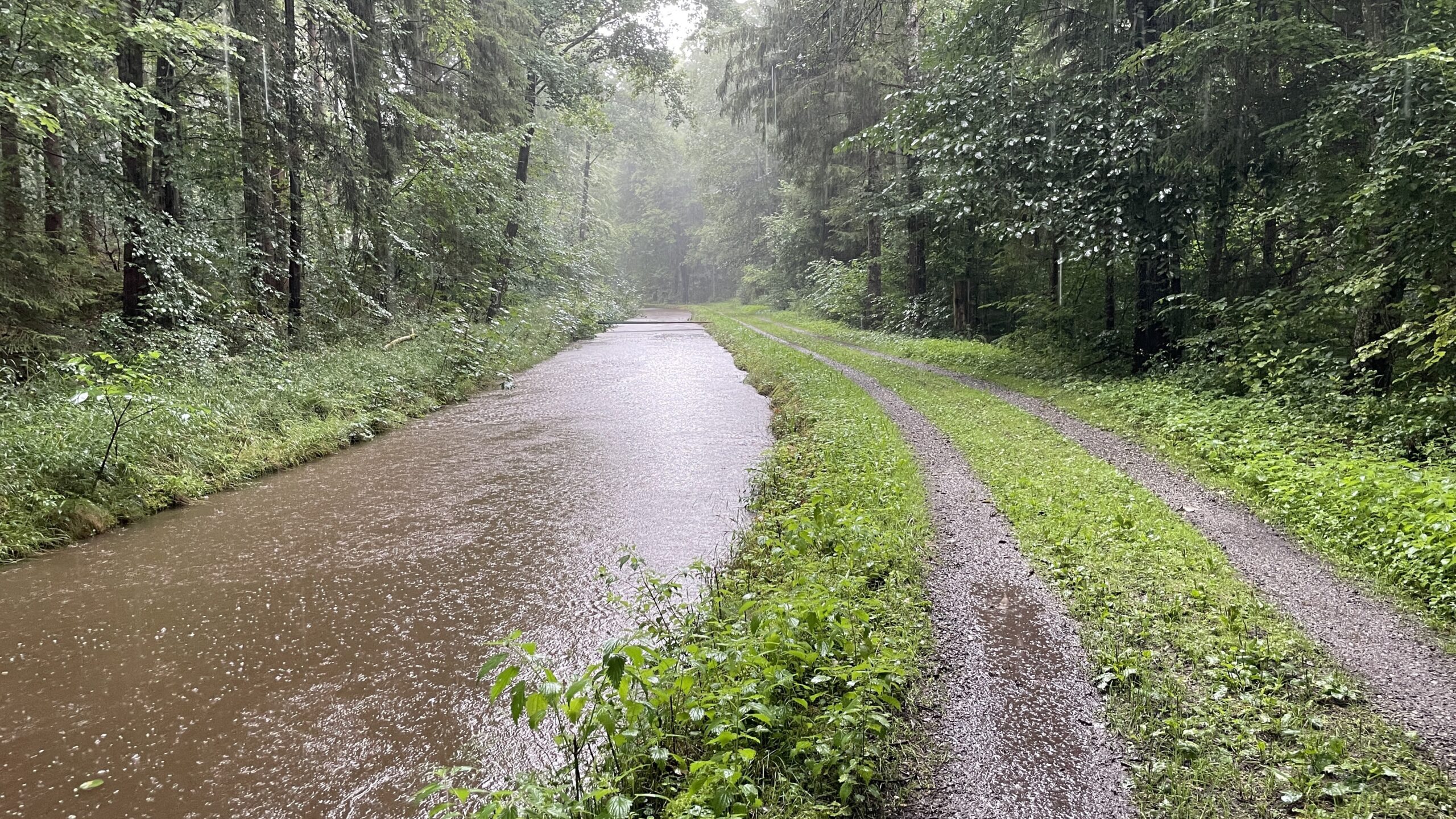 25#11 Mo 28.7.25 Bad Waldsee – Ravensburg 24,3km